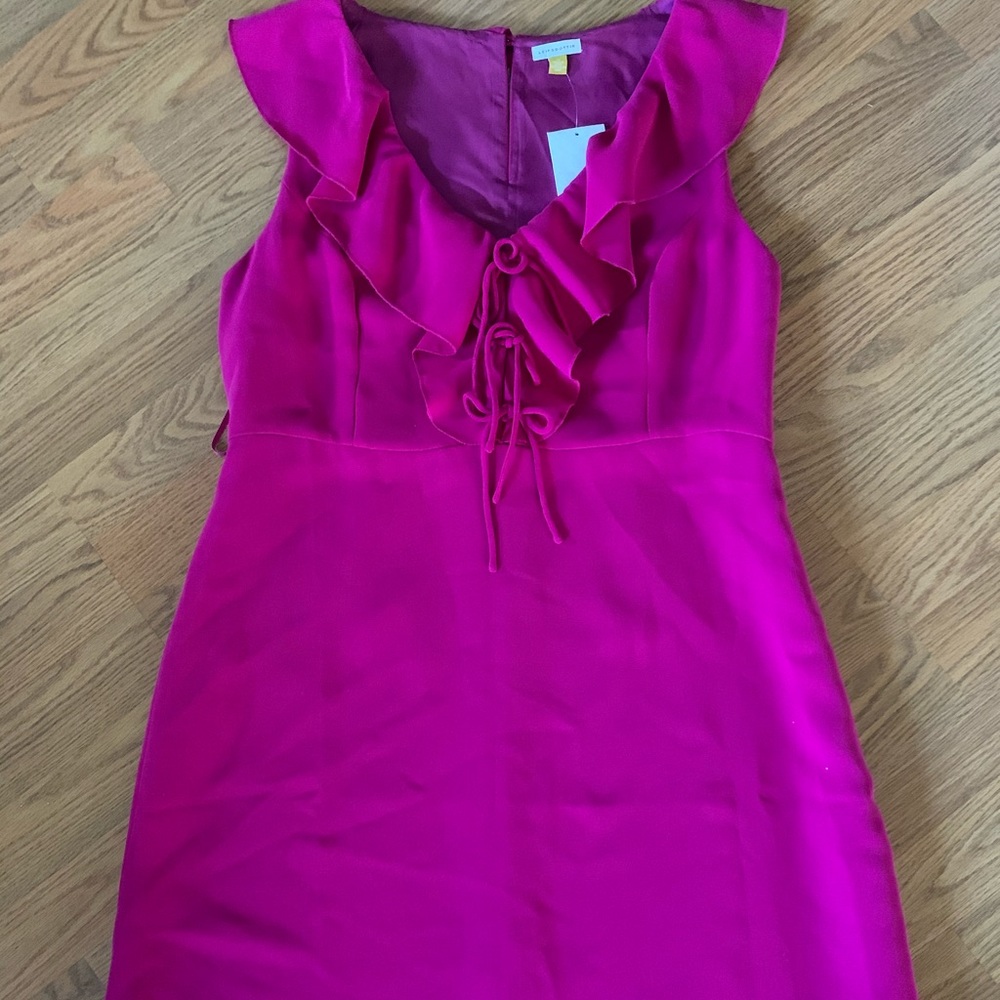 Anthropologie Size 14 Lined Fuchsia Dress